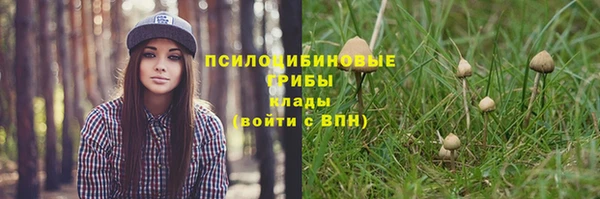 крисы Алексеевка