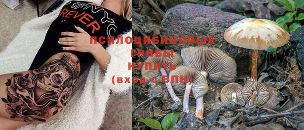 крисы Алексеевка